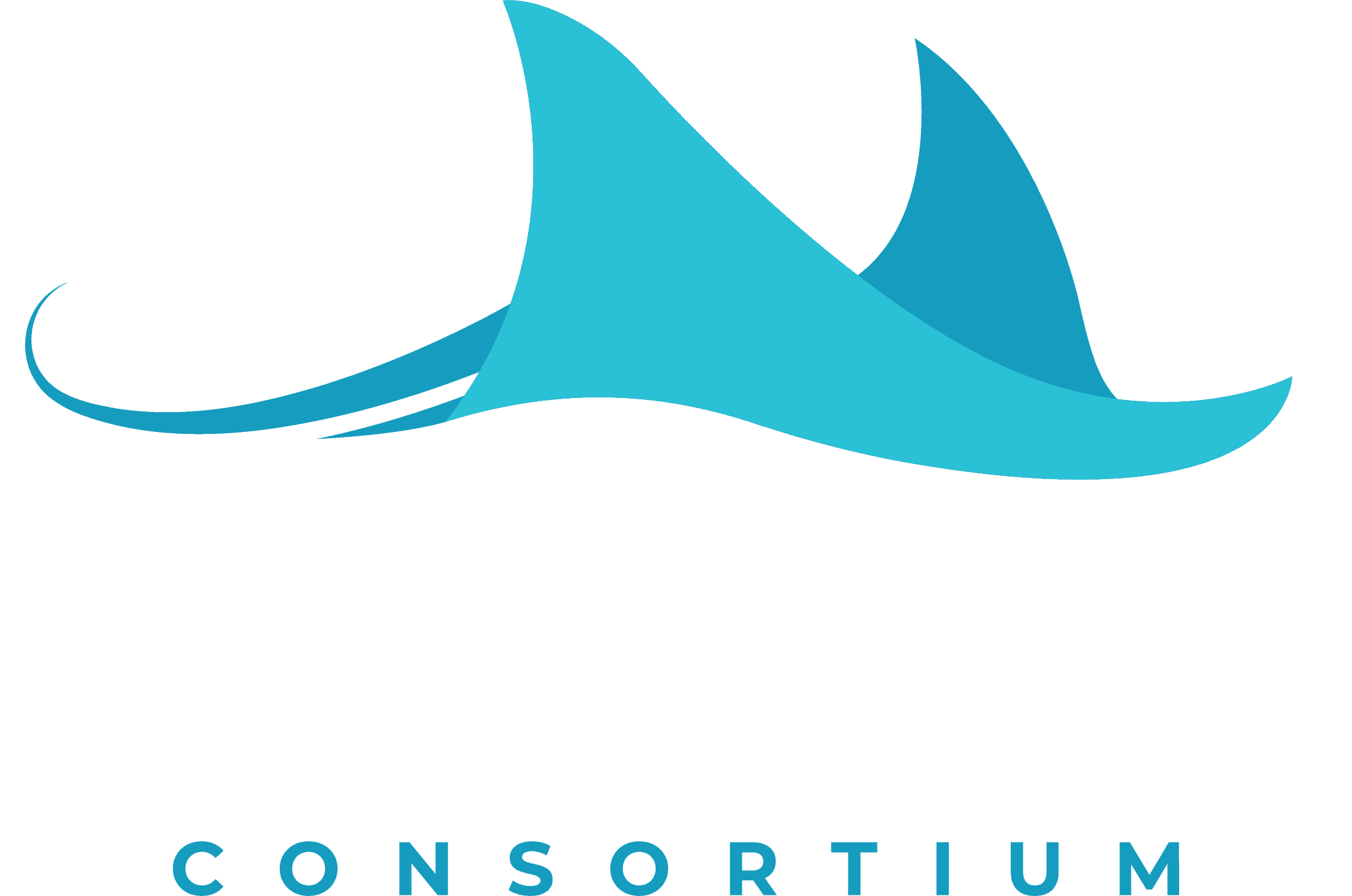 Searle Starter device from the ITC, showcasing innovative technology for educational and business applications.